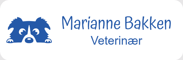 Bilde av Gravert navneskilt for veterinær, med navn og logo